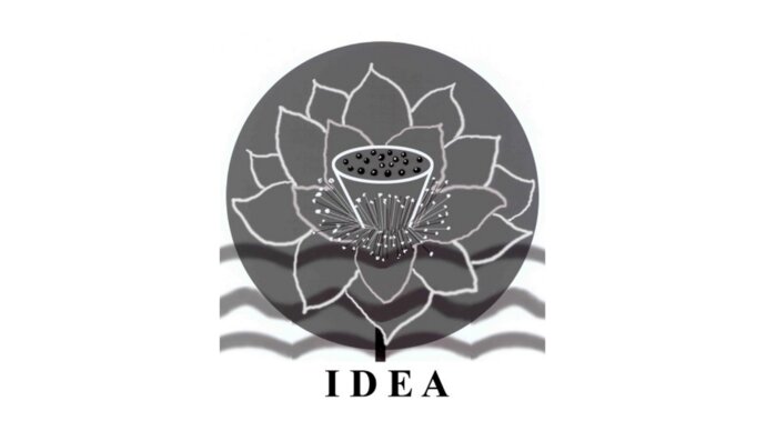 IDEA logo