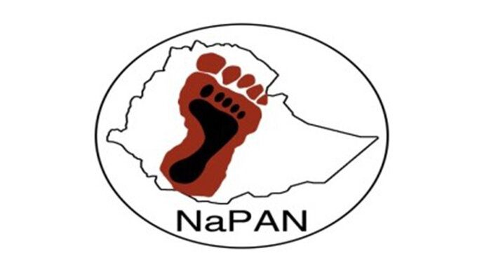 National Podoconiosis Action Network logo
